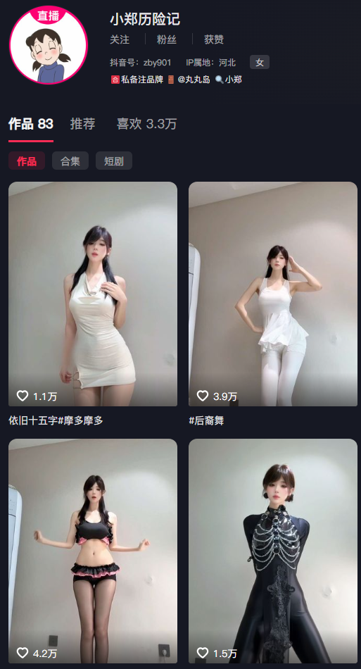 抖音小郑历险记:丸岛趣岛电鸽日常合集106P44V,藏在镜头里的治愈日记